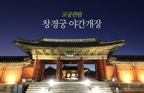 오피마트 핫플레이스 서울창경궁